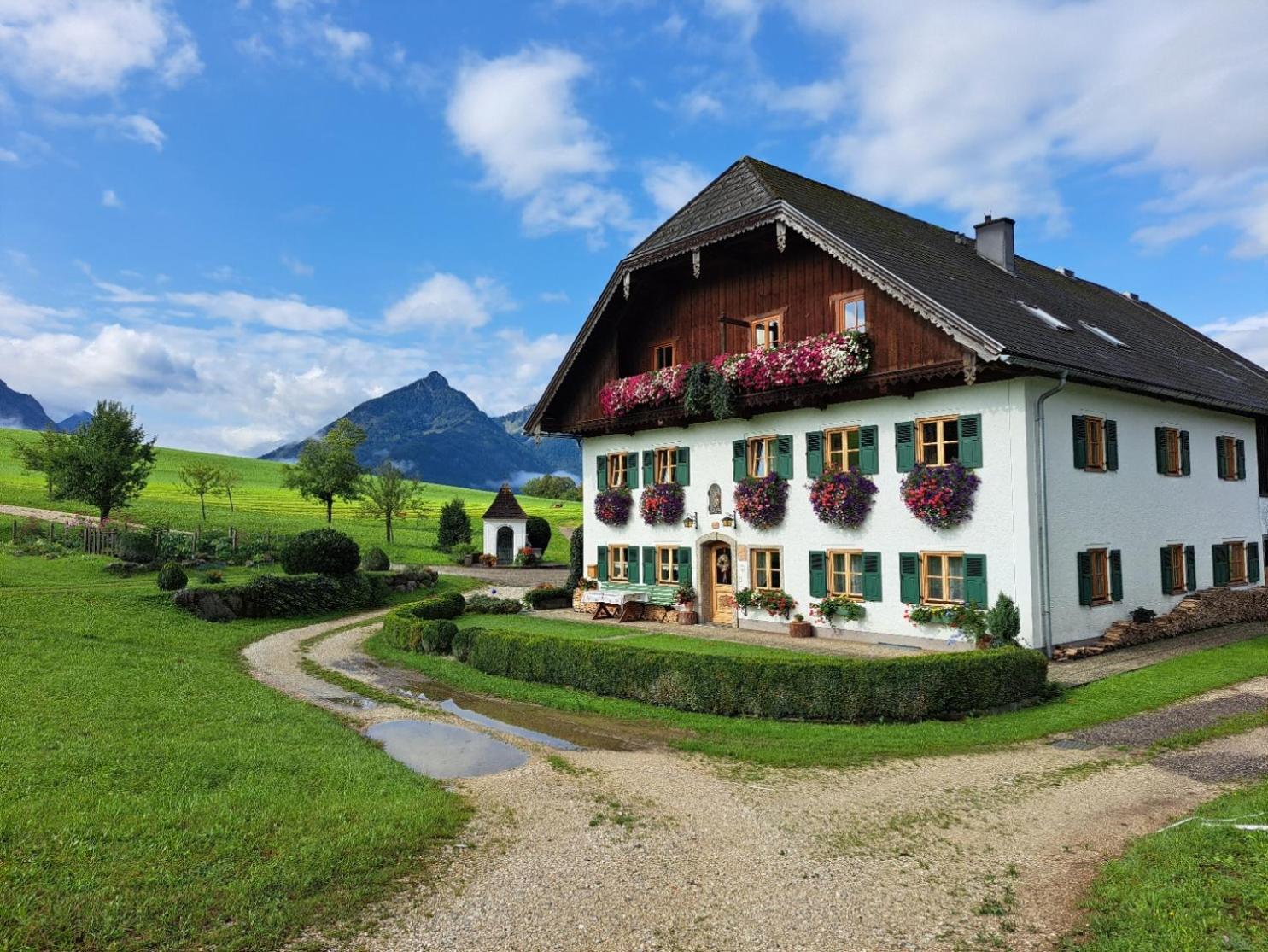 Ferienhof Brunbacher Wolfgangsee Saint Wolfgang Exteriér fotografie