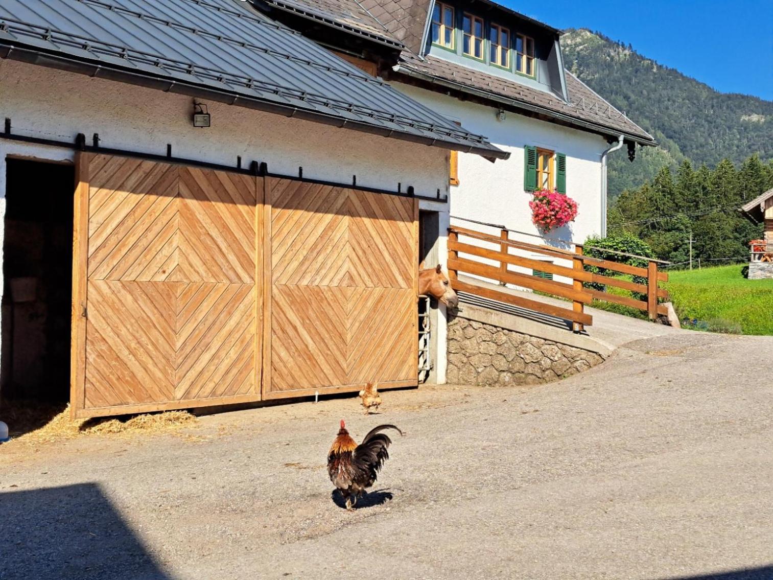 Ferienhof Brunbacher Wolfgangsee Saint Wolfgang Exteriér fotografie