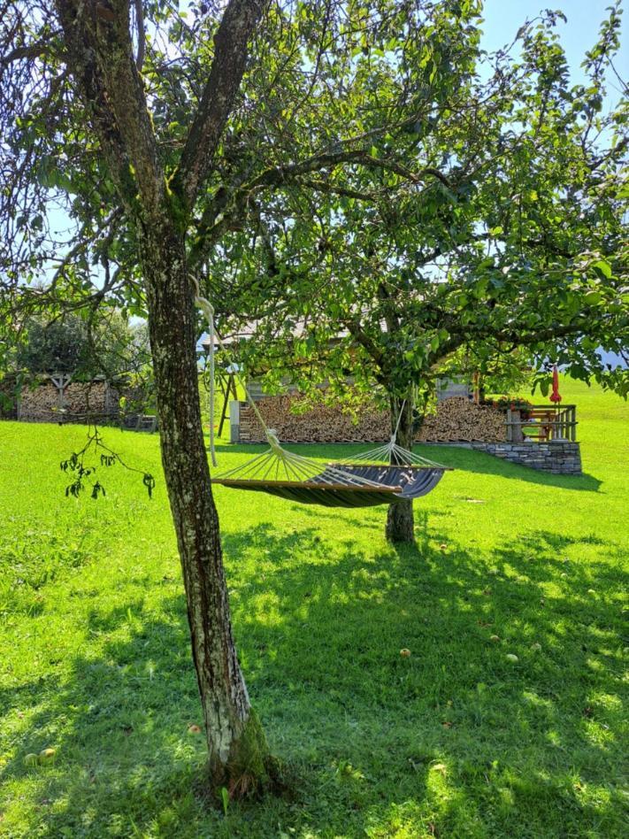 Ferienhof Brunbacher Wolfgangsee Saint Wolfgang Exteriér fotografie