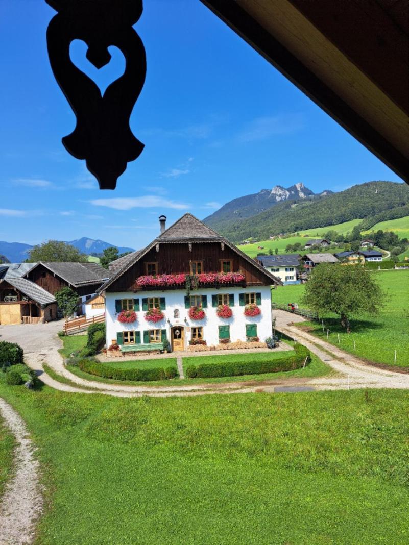Ferienhof Brunbacher Wolfgangsee Saint Wolfgang Exteriér fotografie